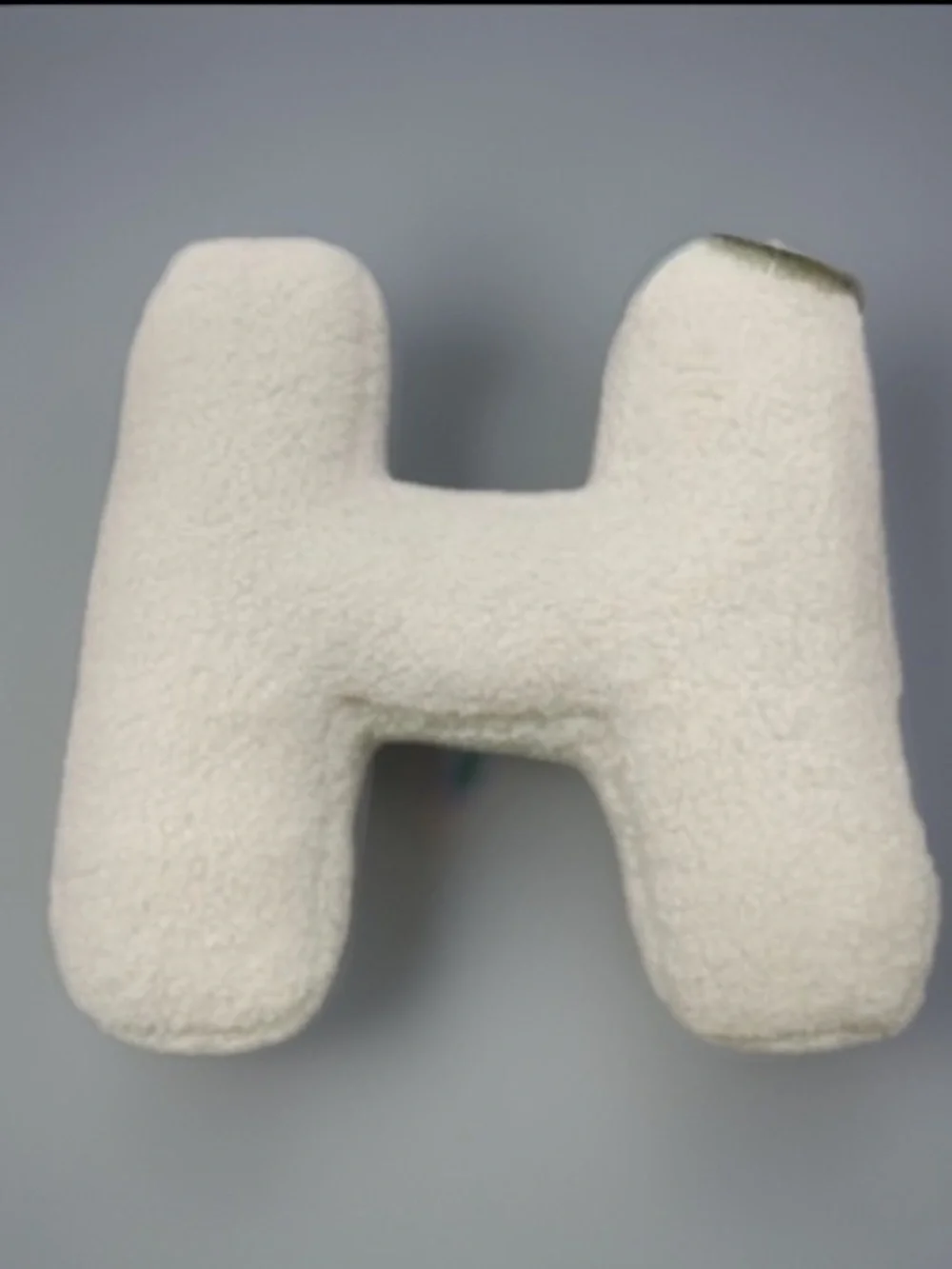 Dormify ‘ALPHIE’ Sherpa Letter ‘H’ Throw Pillow